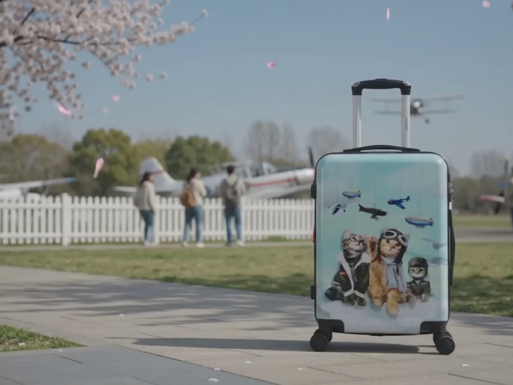 Chariot Sky Aviators Whimsical Cats Edition
